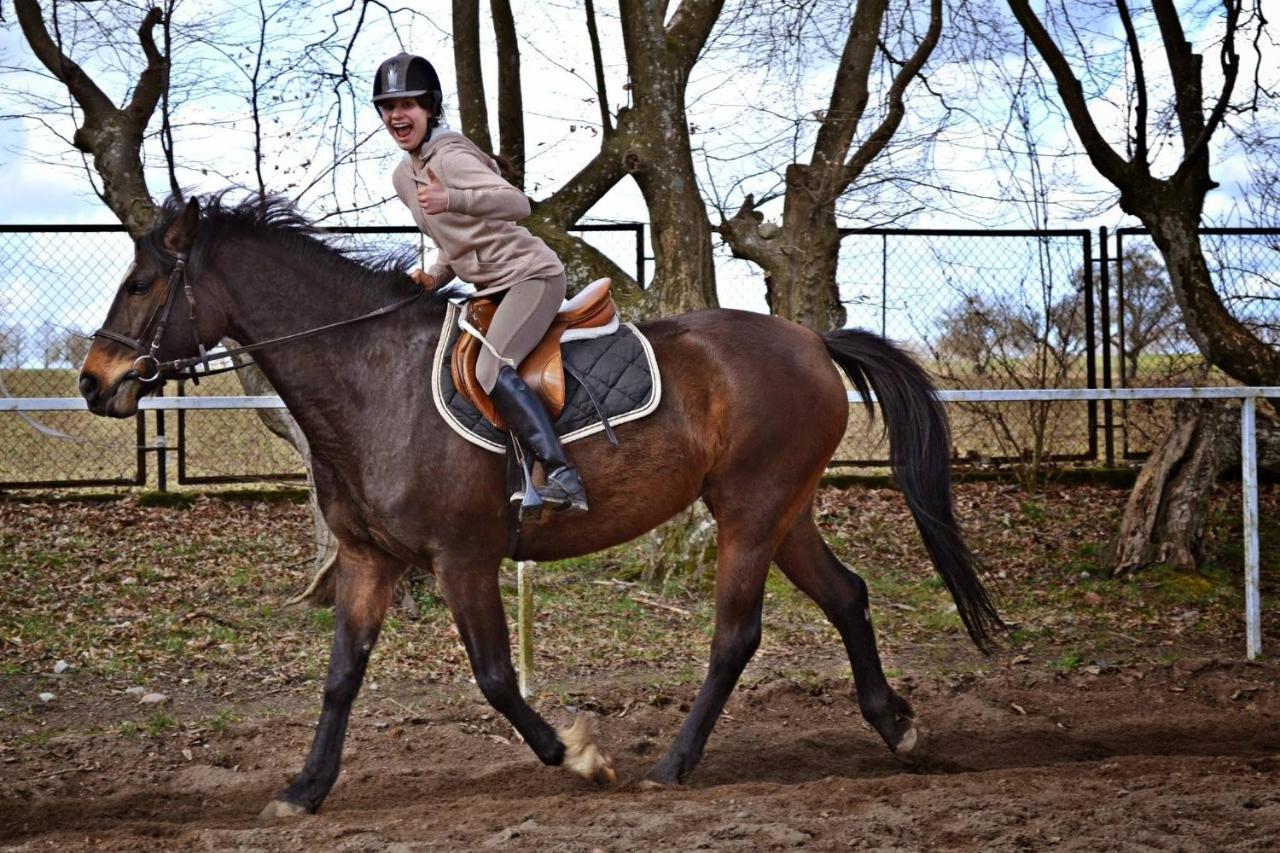 Palac Pod Bocianim Gniazdem Runowo  Extérieur photo